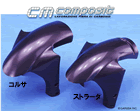 SpeedCarbon　SS900ie／1000DS フロントフェンダー ストラーダ  [030-01041006]