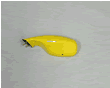 バックミラー左　　Yellow　：　　　　 [52310031cb]
